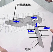 定置網の図面