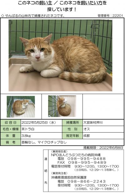 ogimi_20220527.jpg