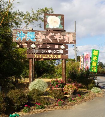 イチダースネット 花と竹の公園 沖縄かぐや姫 イチダースネット 花と竹の公園 沖縄かぐや姫